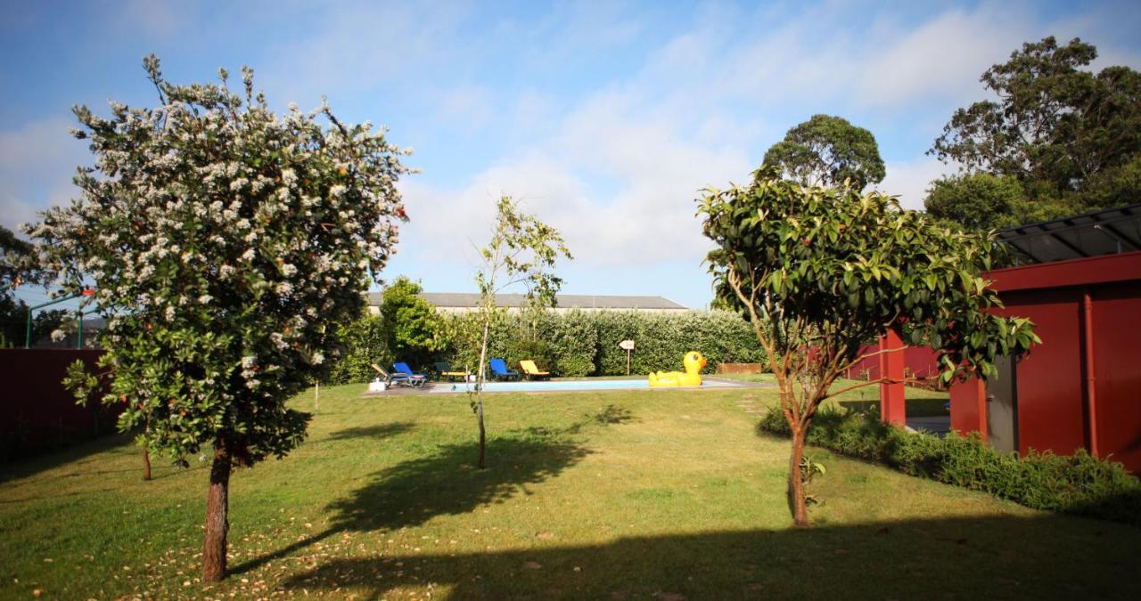 Villa Woof & Sun Esmoriz Exterior foto