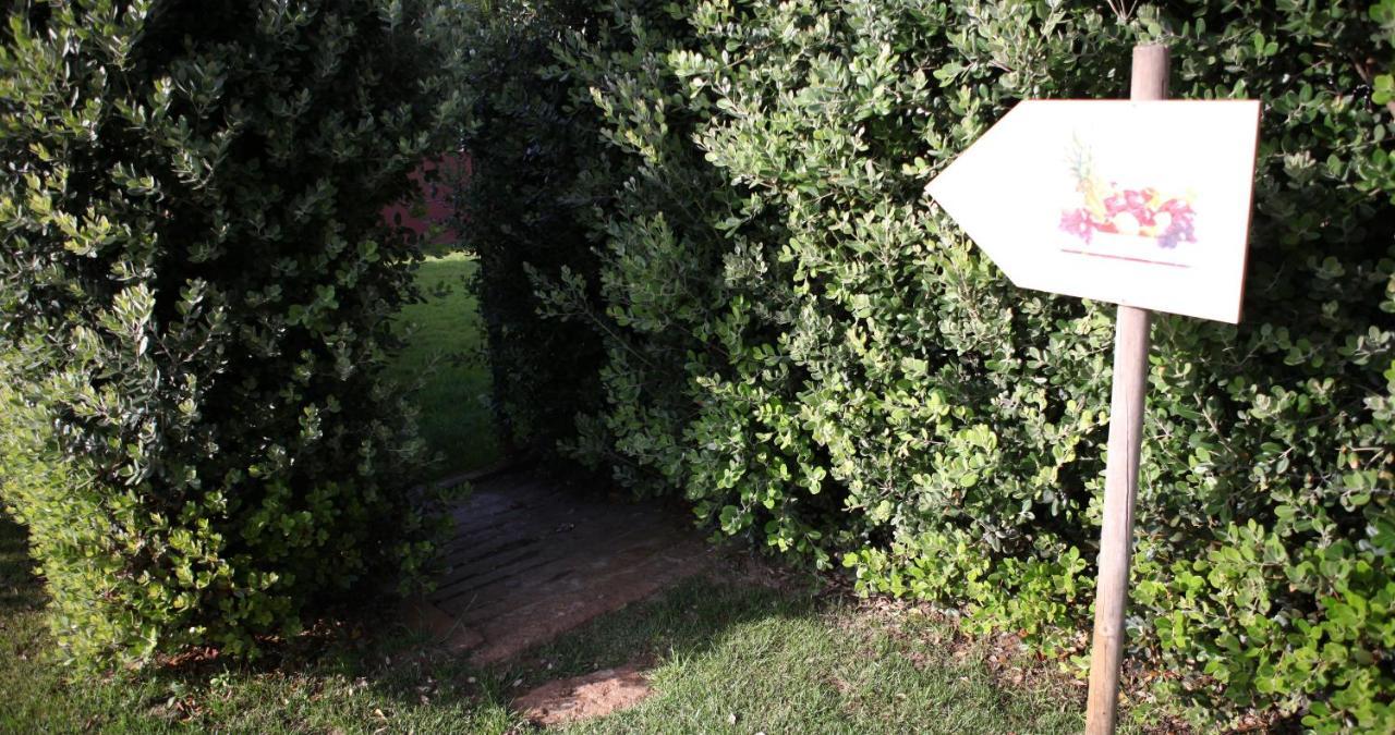 Villa Woof & Sun Esmoriz Exterior foto